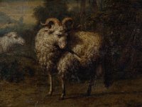 GG 646  GG 646, Pascha Johann Friedrich Weitsch (1723-1802), Zwei Schafe, Papier auf Eichenholz, 13 x 18 cm : Tiere
